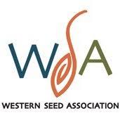 WSA
